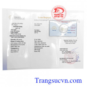 Giấy kiểm định