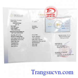 Giấy kiểm định