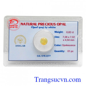 Opal quý ép vỉ an lành phù hợp làm mặt nhẫn, mặt dây chuyền thời trang, quý phái