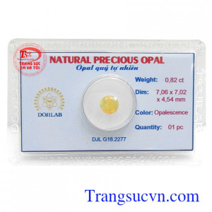 Opal quý ép vỉ an lành bền đẹp, chất lượng