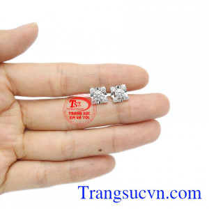 Hoa tai thích hợp làm quà tặng cho người thân và bạn bè.