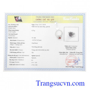 Giấy kiểm định