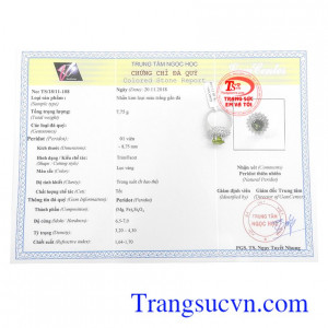 Giấy kiểm định