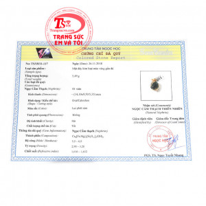 Giấy kiểm định từ trung tâm ngọc học. Mặt dây chuyền nephrite thiên nhiên