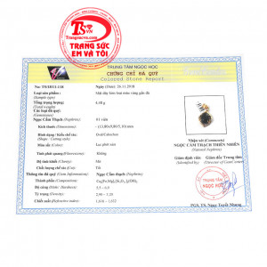 Giấy kiểm định từ trung tâm ngọc học. Mặt dây nephrite hoàng gia