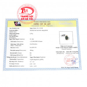 Giấy kiểm định từ trung tâm ngọc học. Mặt dây nephrite may mắn