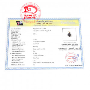 Giấy kiểm định từ trung tâm ngọc học. Mặt dây granat thiên nhiên