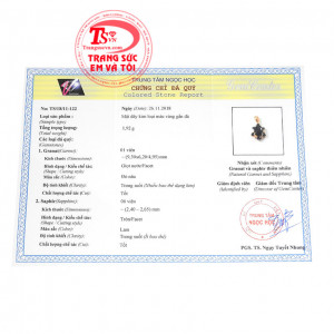 Giấy kiểm định từ trung tâm ngọc học. Mặt dây granat đẹp