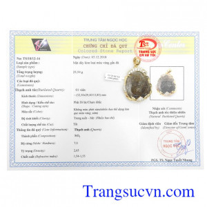 Giấy kiểm định