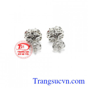 Hoa tai vàng tây