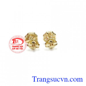 Hoa tai vàng tây