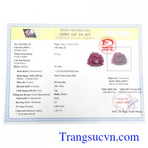 Giấy kiểm định