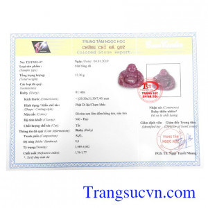 Giấy kiểm định