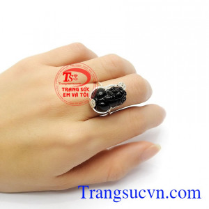Thời xa xưa tỳ hưu được sử dụng rất nhiều trong vua chúa và hoàng tộc