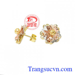 Hoa tai vàng tây dành cho nữ kiểu tinh tế, đeo hoa tai hợp thời trang, (Bông tai)