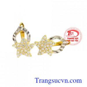 Hoa tai a little star 10k, bảo hành 6 tháng, giao hàng nhanh trên toàn quốc