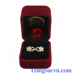 Hoa tai a little star