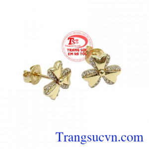 Hoa tai vàng tây Korea