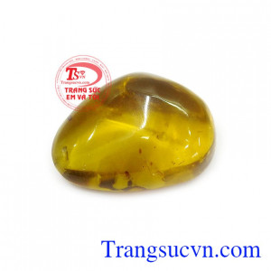 Bởi khả năng hỗ trợ điều trị các bệnh về thần kinh, giúp não thông suốt, tinh thần sảng khoái, tâm trí được thanh tẩy