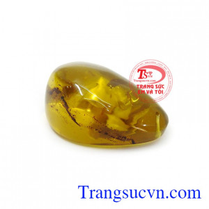 Đá amber hay còn được gọi là hổ phách, dòng đá hình thành từ nhựa cây hàng triệu năm