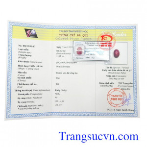Giấy kiểm định