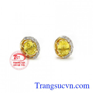 Hoa tai sapphire độc đáo được chế tác hài hòa tinh tế giữa vàng 14k và đá sapphire vàng đẳng cấp
