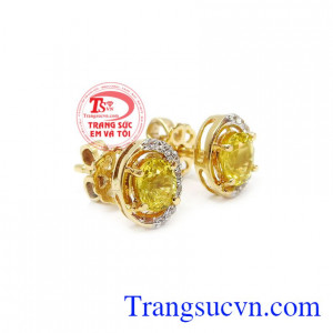 Hoa tai sapphire độc đáo mang đến sự nữ tính quyến rũ và thu hút phái mạnh
