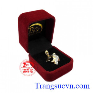 Sản phẩm có thể làm quà tặng cho người thân hoặc bạn bè. Mặt dây vàng tây 10k gắn đá quý TSVN