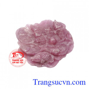 Từ thời xa xưa người dân Việt đã quá quen thuộc với hình ảnh cá chép. Mặt cá chép ruby chất lượng