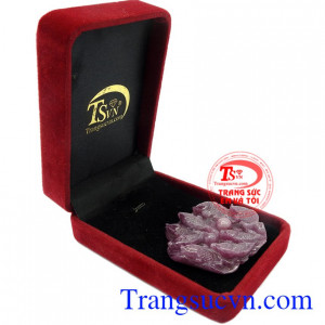 Mặt cá chép ruby may mắn