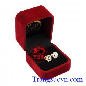 Hoa tai vàng mặt trời