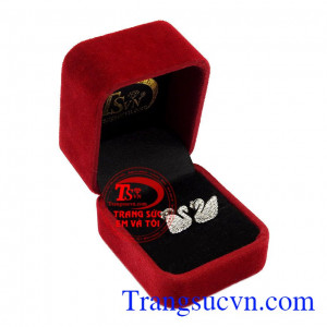 Hoa tai vàng thiên nga