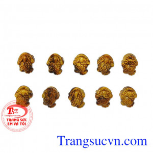 Thiềm thừ đá mắt hổ