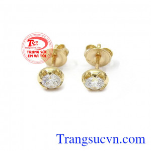  Hoa tai đính đá xinh xắn là món đồ trang sức không thể thiếu của phái đẹp