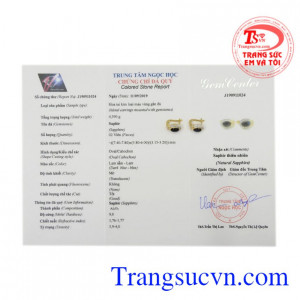 Hoa tai nữ vàng Sapphire 14k