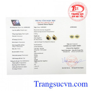 Sản phẩm thích hợp làm quà tặng vào những dịp đặc biệt. Hoa tai saphir sao quý phái