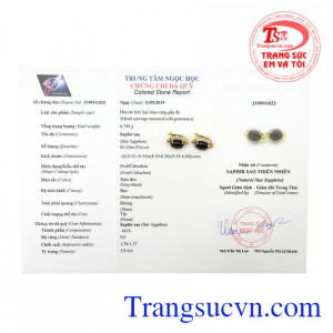 Hoa tai saphir sao quý tộc bảo hành uy tín, giao hàng toàn quốc.