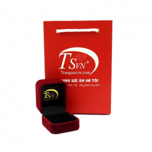 Hộp đựng giấy kiểm định