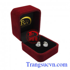 Hoa tai trái tim đẹp