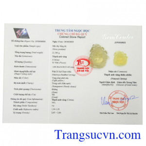 Giấy kiểm định