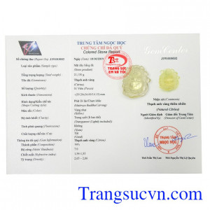 Giấy kiểm định