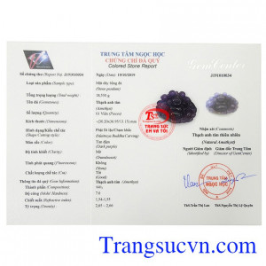 Giấy kiểm định