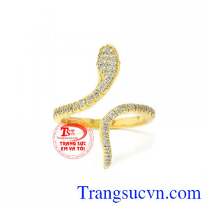 Rắn là biểu tượng cho nước, lửa, linh hồn, quyết đoán, đa nghi.