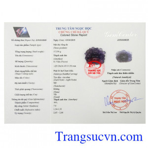 Giấy kiểm định