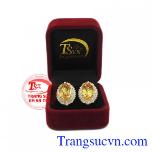 Hộp đựng hoa tai sang trọng. Hoa tai thạch anh vàng ấn tượng