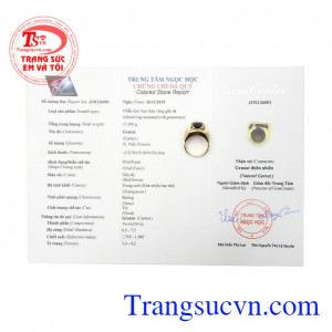 Trang sức Em và Tôi nhận thiết kế các sản phẩm trang sức 3D theo yêu cầu của từng khách hàng,Nhẫn nam vàng Garnet thiên nhiên