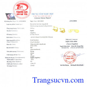 Giấy kiểm định từ trung tâm Ngọc Học