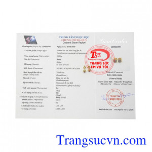 Hoa tai đá Ruby nhỏ xinh