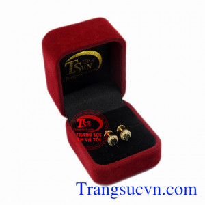 Do đó đôi hoa tai Sapphire này sẽ được nhiều phái đẹp ưa chuộng và lựa chọn. Hoa tai Sapphire nhỏ xinh