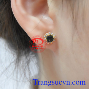 Hoa tai Sapphire nhỏ xinh